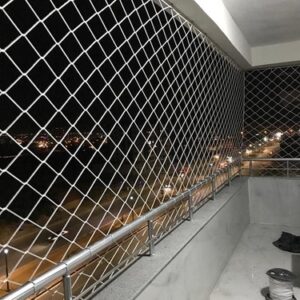 Kedi Filesi Çankaya