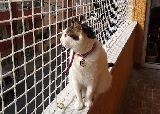 Kedi Balkon Filesi Ürünleri