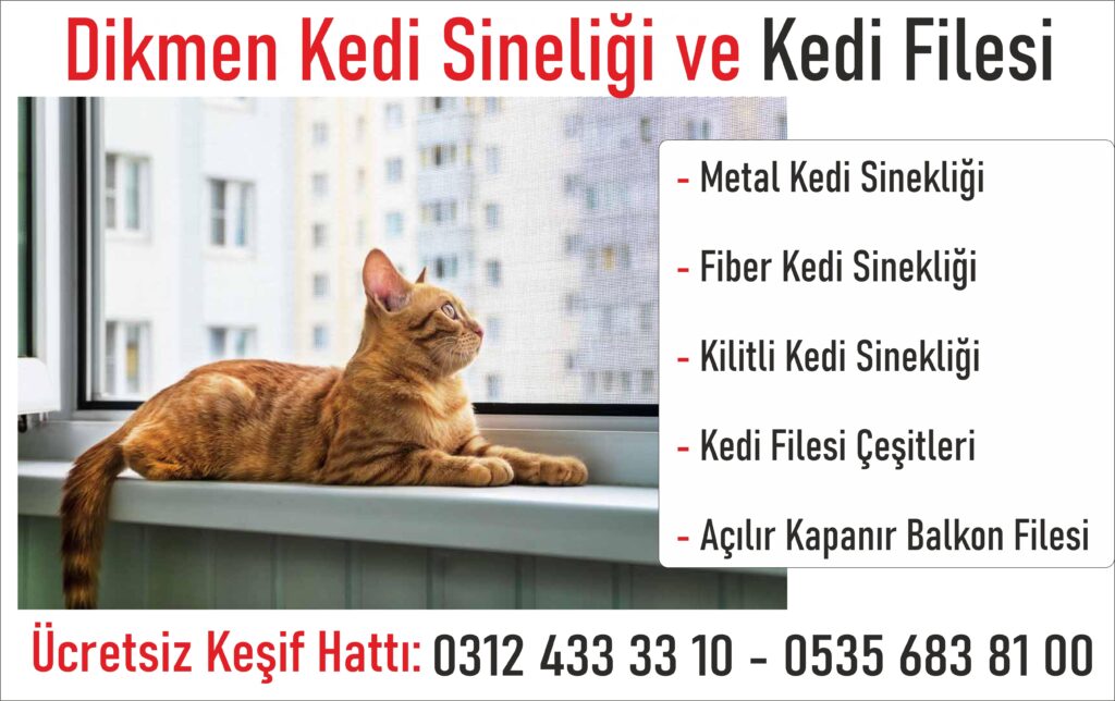 Çankaya Kedi Sinekliği Pencere