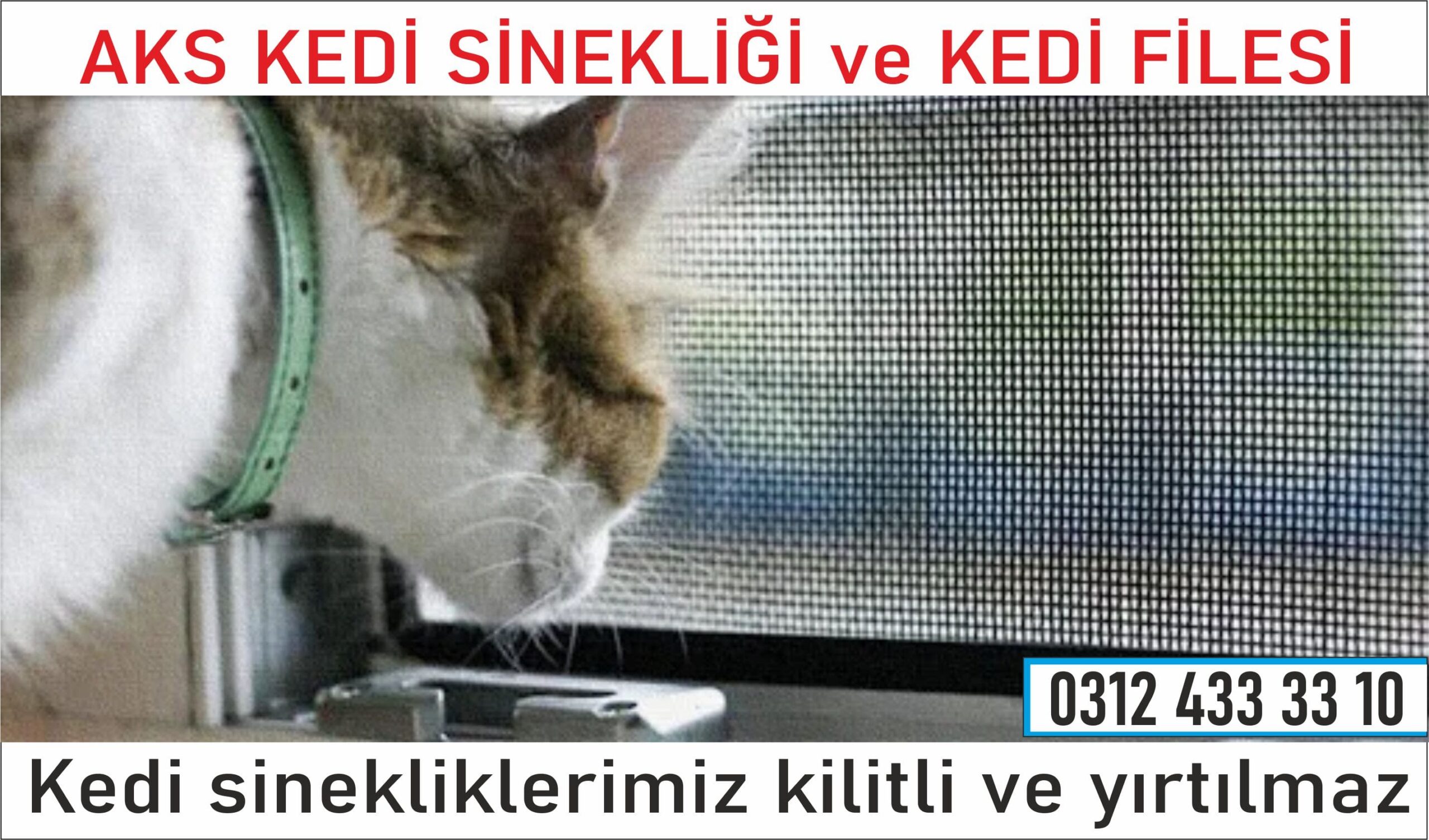 Kedi Sinekliği Dikmen