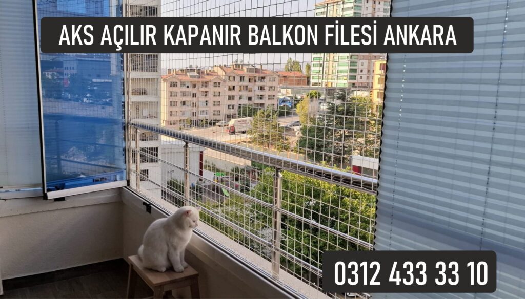Kedi Sinekliği Ankara