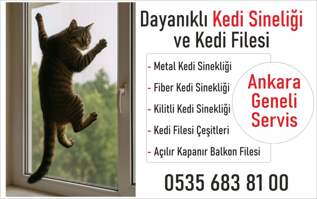 Mamak Kedi Sinekliği